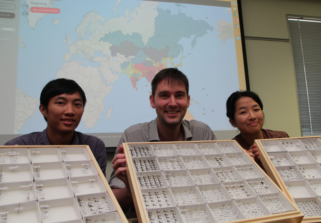 香港大學和沖繩科學技術大學院大學推出全球首個「螞蟻地圖」 網站